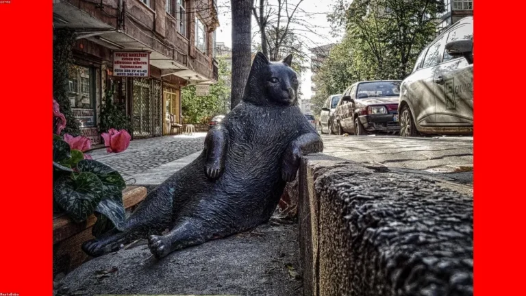 Where Expats Live in Budapest: A District-by-District Lifestyle Guide