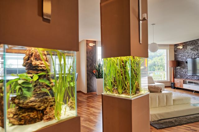 Thimg Img 1395 1600x700 – Buy Budapest Apartments