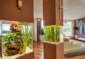 Thimg Img 1395 285x200 – Buy Budapest Apartments