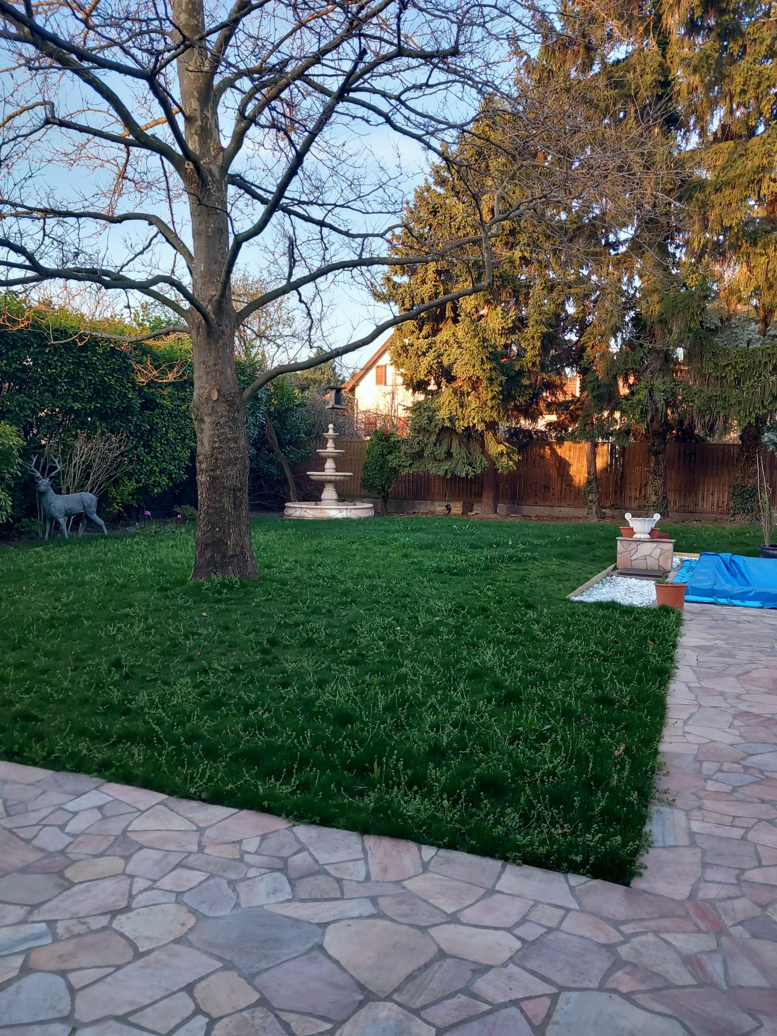 Hungary, 5 Bedrooms Bedrooms, 5 Rooms Rooms,Villa,For sale,1403