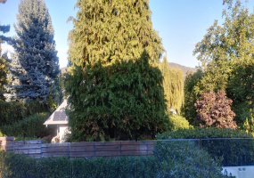 4 Bedroom Bedrooms, 5 Room Rooms,4 BathroomBathrooms,Villa,For sale,0,854535 4 Bedroom Bedrooms, 5 Room Rooms,4 BathroomBathrooms,Villa,For sale,0,854535